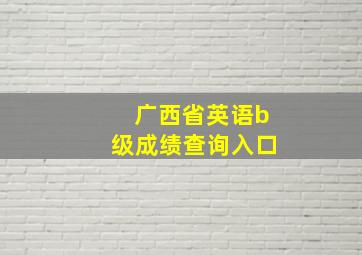 广西省英语b级成绩查询入口