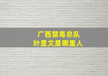 广西禁毒总队叶显文是哪里人