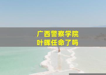 广西警察学院叶晖任命了吗