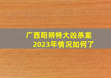 广西阳朔特大凶杀案2023年情况如何了