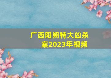 广西阳朔特大凶杀案2023年视频