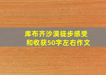 库布齐沙漠徒步感受和收获50字左右作文