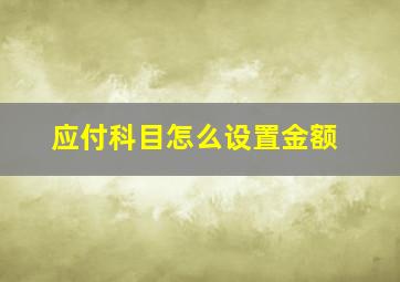 应付科目怎么设置金额