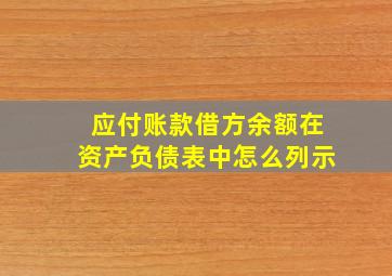 应付账款借方余额在资产负债表中怎么列示