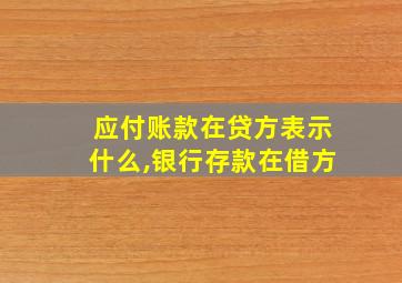 应付账款在贷方表示什么,银行存款在借方