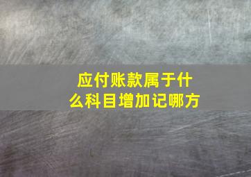 应付账款属于什么科目增加记哪方