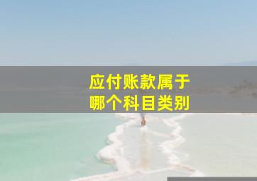 应付账款属于哪个科目类别