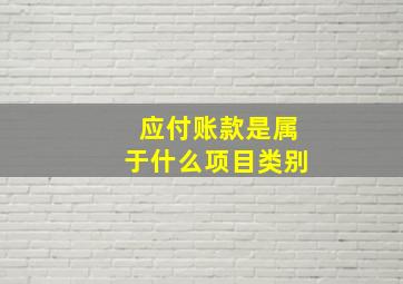 应付账款是属于什么项目类别