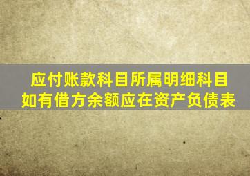 应付账款科目所属明细科目如有借方余额应在资产负债表