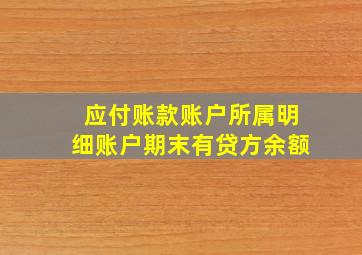 应付账款账户所属明细账户期末有贷方余额