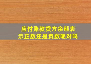 应付账款贷方余额表示正数还是负数呢对吗