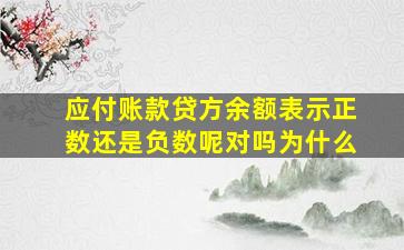 应付账款贷方余额表示正数还是负数呢对吗为什么