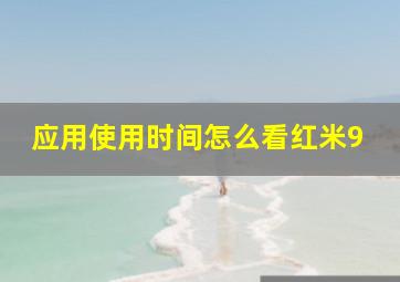 应用使用时间怎么看红米9