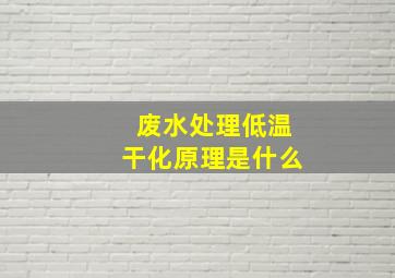 废水处理低温干化原理是什么