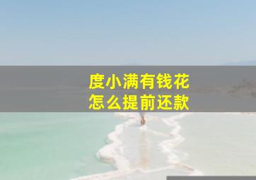 度小满有钱花怎么提前还款