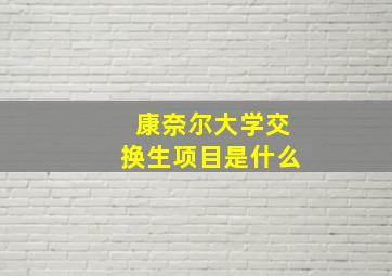 康奈尔大学交换生项目是什么