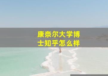 康奈尔大学博士知乎怎么样