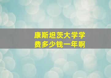 康斯坦茨大学学费多少钱一年啊