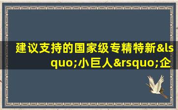 建议支持的国家级专精特新‘小巨人’企业公示名单