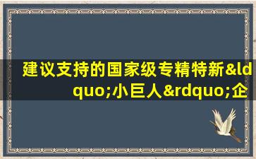 建议支持的国家级专精特新“小巨人”企业名单