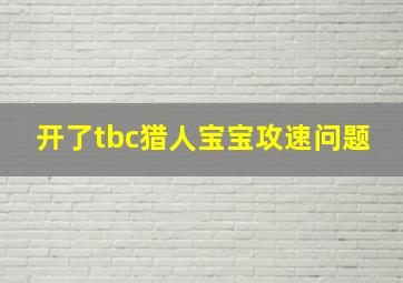 开了tbc猎人宝宝攻速问题