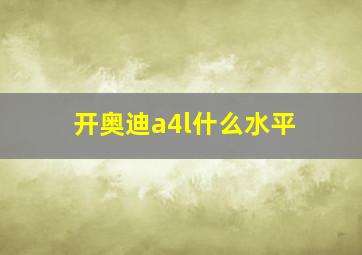 开奥迪a4l什么水平