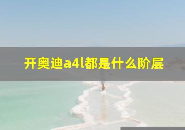 开奥迪a4l都是什么阶层