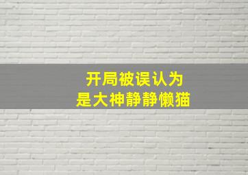 开局被误认为是大神静静懒猫