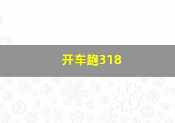 开车跑318