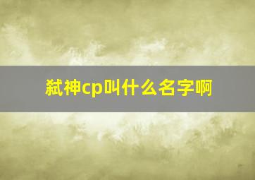 弑神cp叫什么名字啊