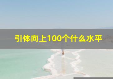 引体向上100个什么水平