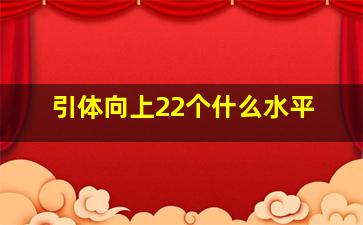 引体向上22个什么水平