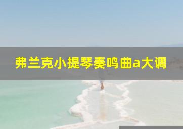 弗兰克小提琴奏鸣曲a大调