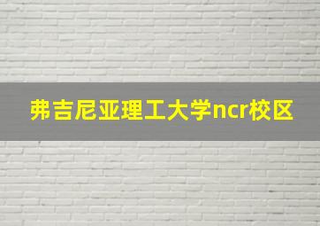 弗吉尼亚理工大学ncr校区