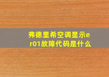 弗德里希空调显示er01故障代码是什么