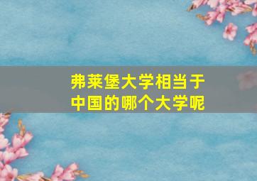 弗莱堡大学相当于中国的哪个大学呢