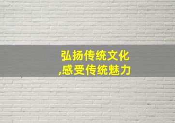 弘扬传统文化,感受传统魅力