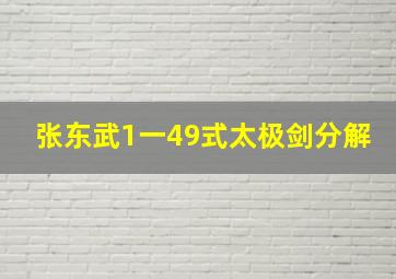 张东武1一49式太极剑分解