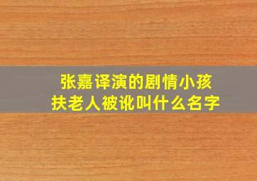 张嘉译演的剧情小孩扶老人被讹叫什么名字