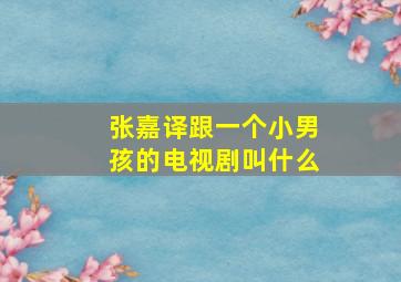 张嘉译跟一个小男孩的电视剧叫什么