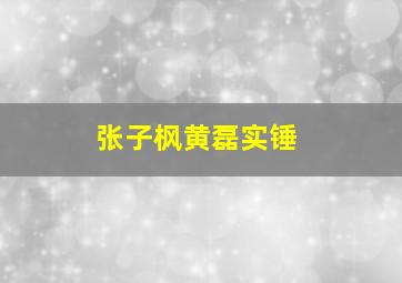 张子枫黄磊实锤