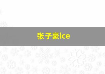 张子豪ice