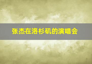 张杰在洛杉矶的演唱会