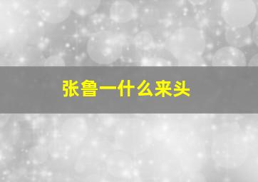 张鲁一什么来头