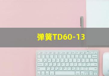 弹簧TD60-13