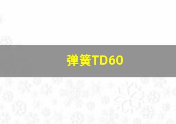 弹簧TD60