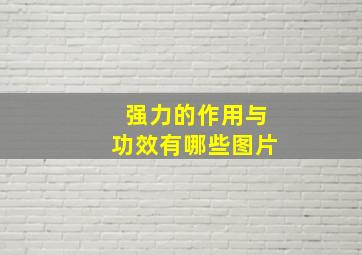 强力的作用与功效有哪些图片