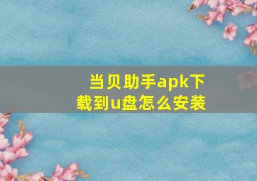 当贝助手apk下载到u盘怎么安装