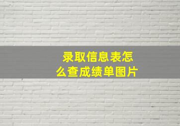 录取信息表怎么查成绩单图片