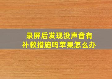 录屏后发现没声音有补救措施吗苹果怎么办